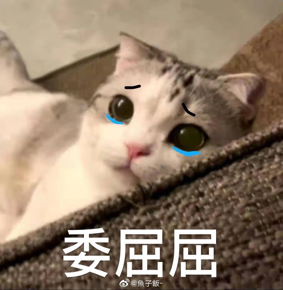 猫咪表情包‖香香软软的小泡芙专场～今天是甜甜的小猫咪鸭