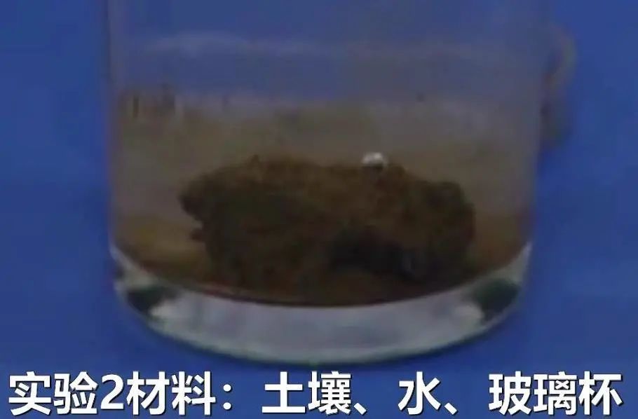 能通过分层沉积发现土壤中大小不同颗粒.