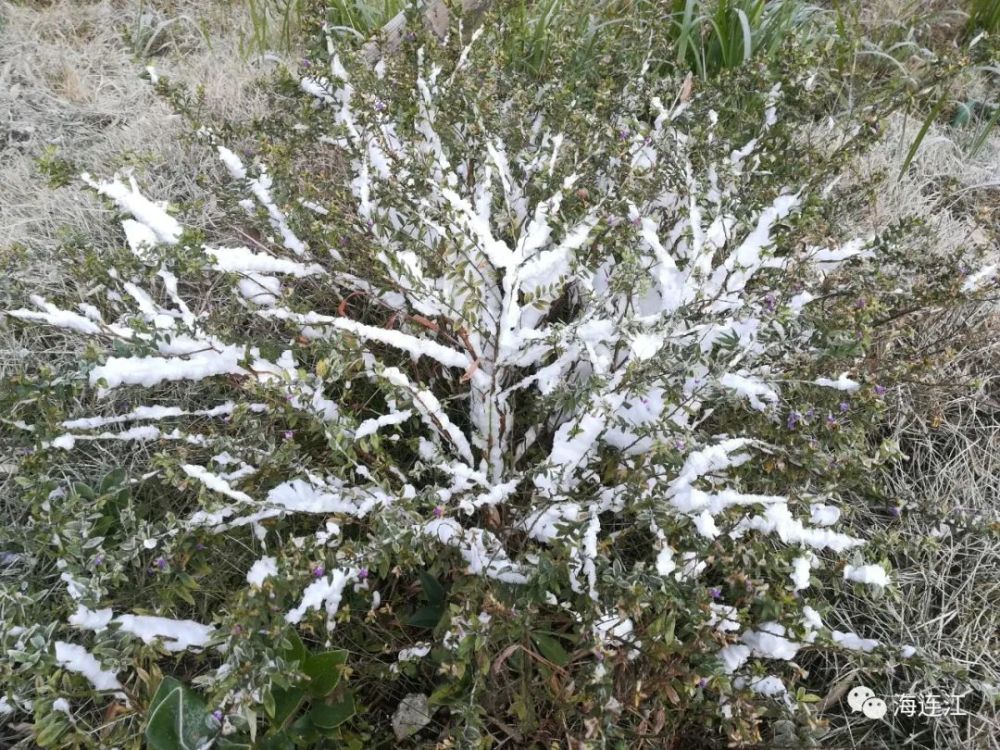 视频拍摄于江南镇梅洋村连江下雪啦!