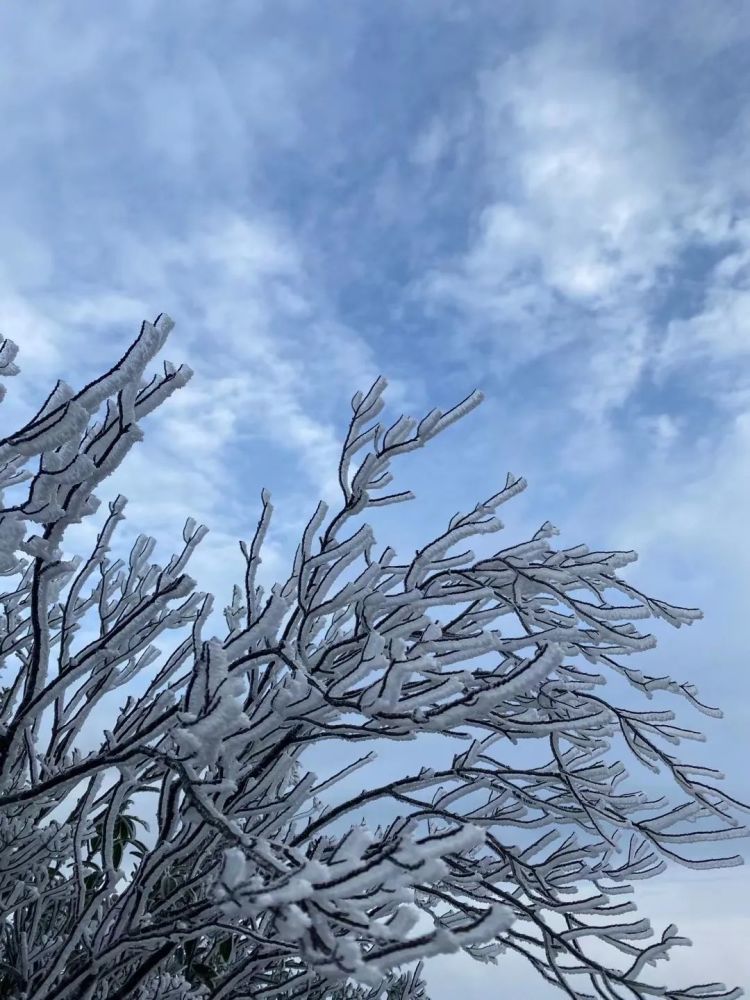 龙岩下雪啦!