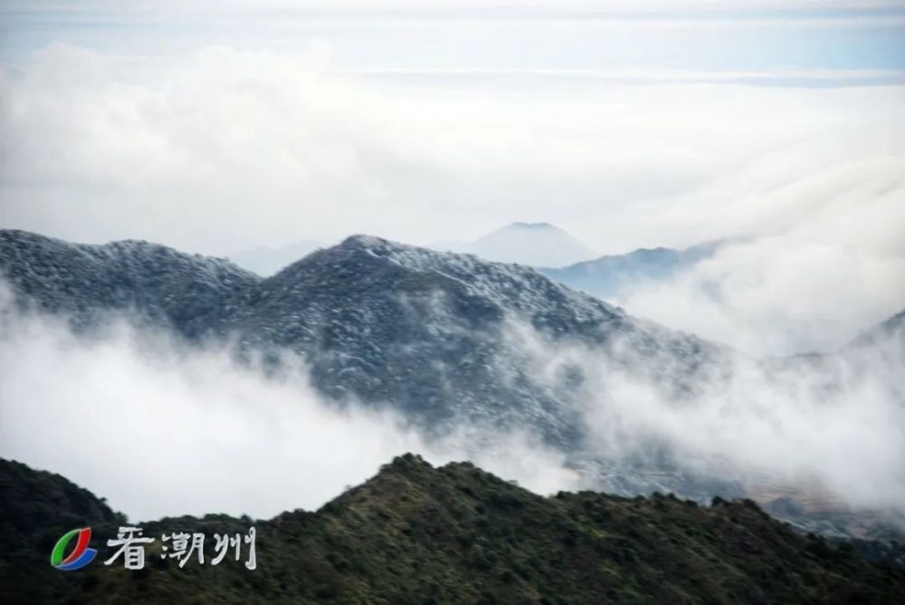 潮州凤凰山出现大面积雾凇!