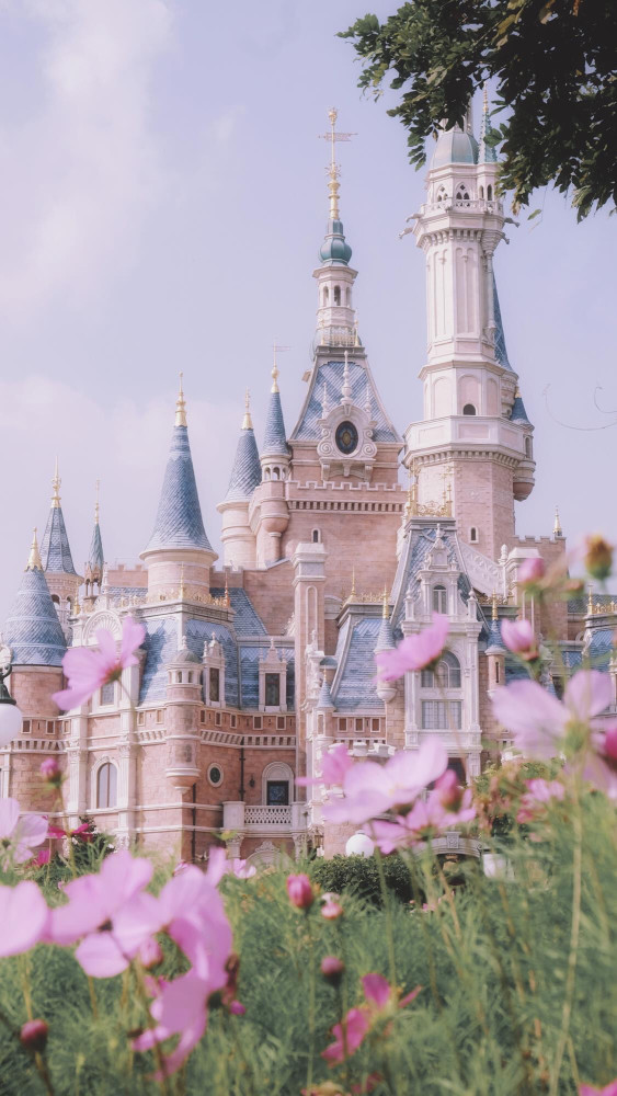 迪士尼梦幻城堡壁纸:你就是公主
