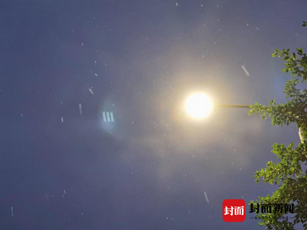 自贡人口2021_自贡2021灯会图片