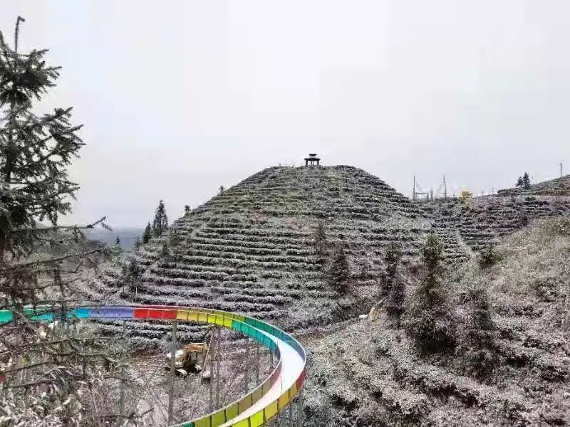 文山富宁,广南,丘北,砚山…多地下雪!你