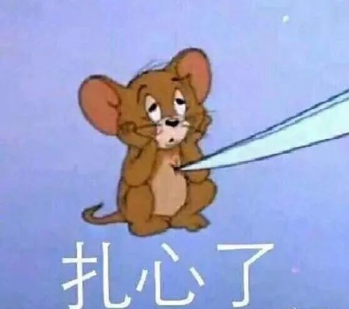 耗子尾汁是什么?