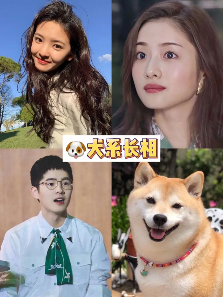 杨幂是狐系脸,刘昊然是犬系脸,原来动物系长相有这些特点?