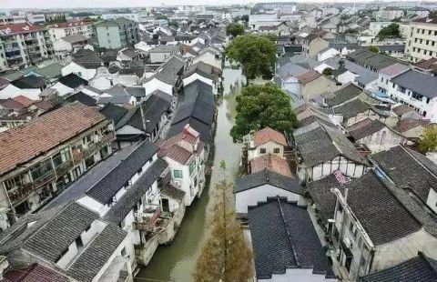 绘制现代版"富春山居图" 奉贤庄行"冷江雨巷"将再现千年古镇繁华