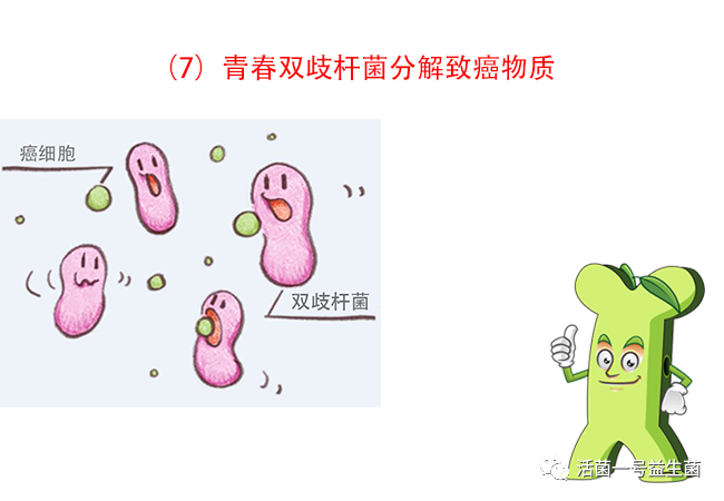 (8)青春双歧杆菌保护身体不受病原菌的感染