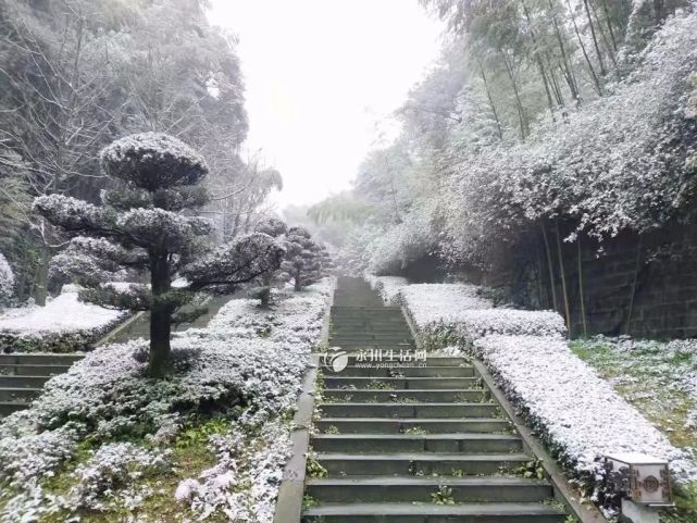 以上图片来自茶山竹海金盆湖别墅度假酒店 每年下雪,金盆湖都有份