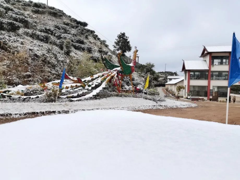 文山州多地下雪!美了美了(附多图美照)