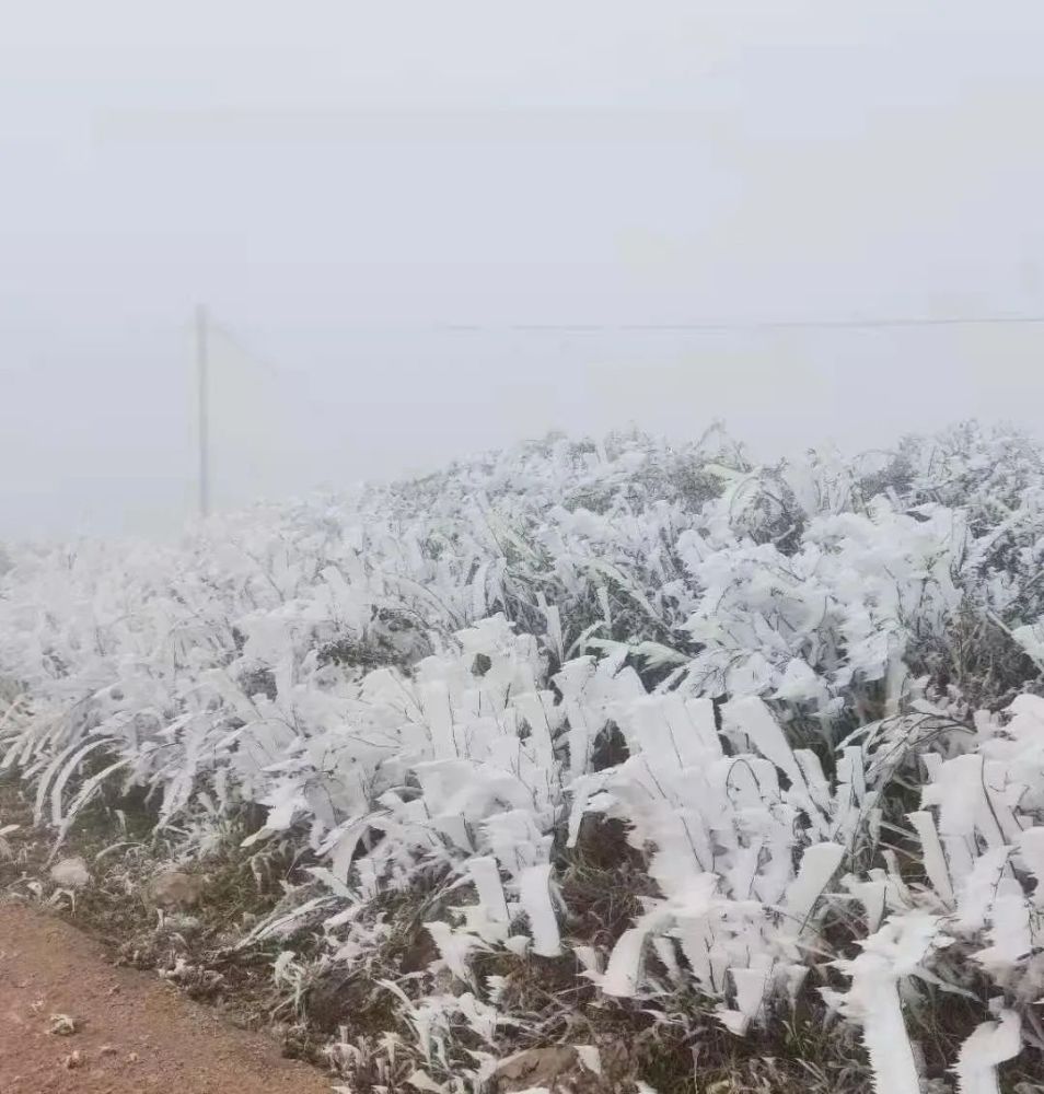 文山州多地下雪!美了美了(附多图美照)