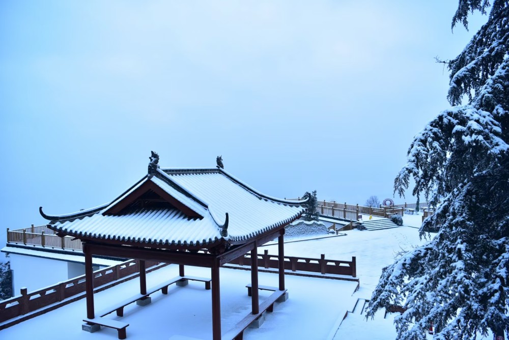 雅安下雪了,蒙顶山雪景._腾讯新闻