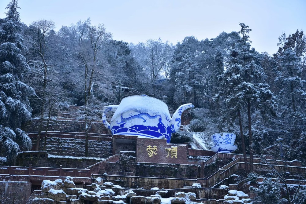 雅安下雪了,蒙顶山雪景._腾讯新闻