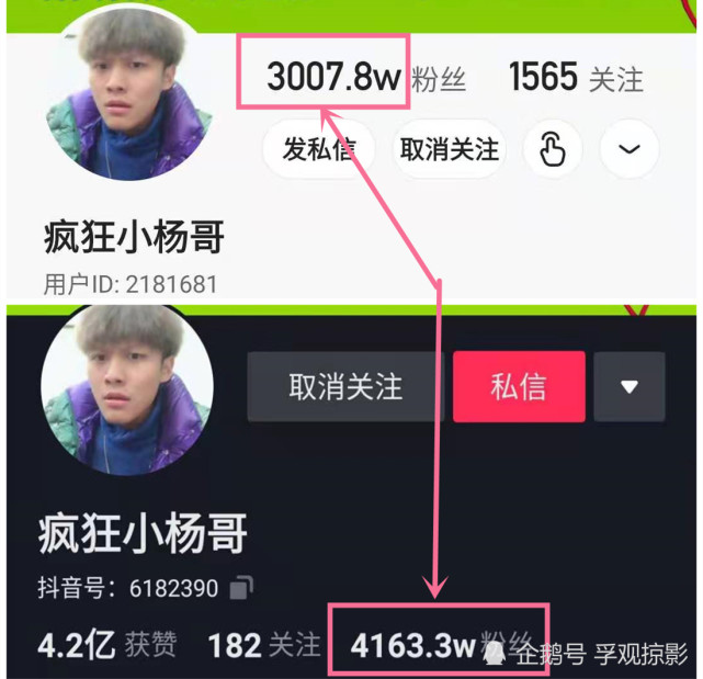 网络红人"疯狂小杨哥",到底有多疯狂?3年吸粉7000万