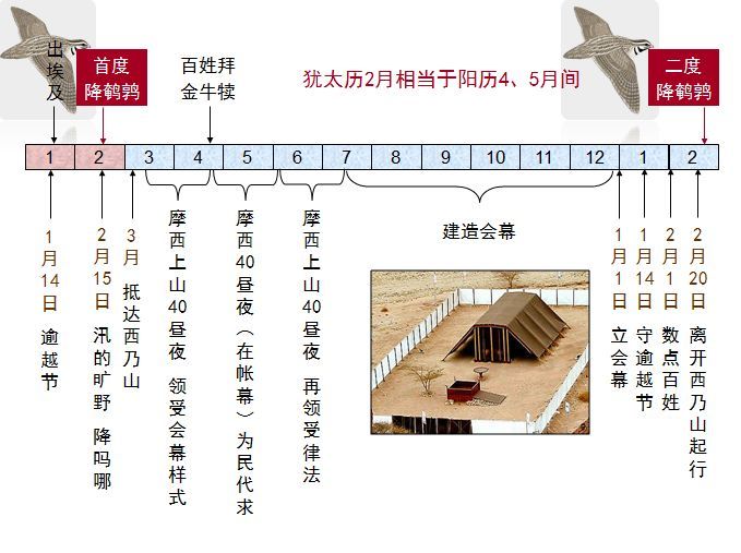 收藏|圣经图表,帮助你读懂《民数记》