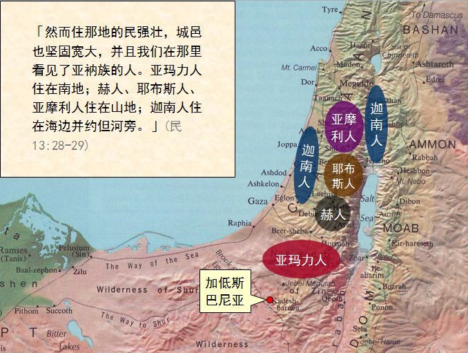 因为书中有两次数点以色列民的数目,所以中文圣经译为"民数记"这个