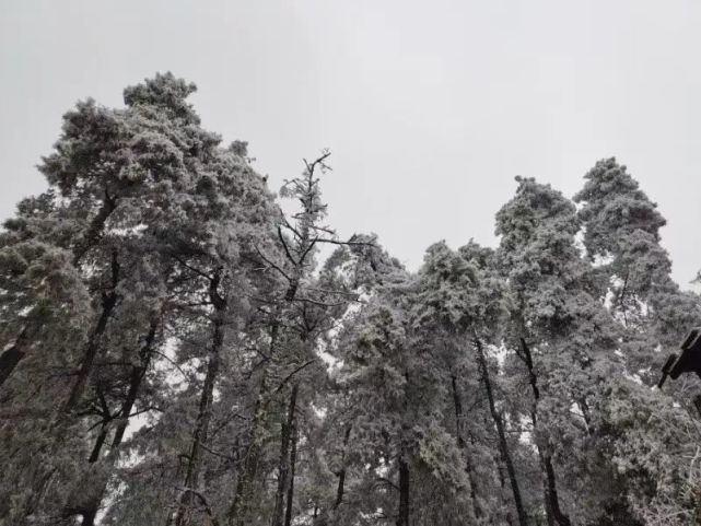 三塘乡|向阳乡|泸西县