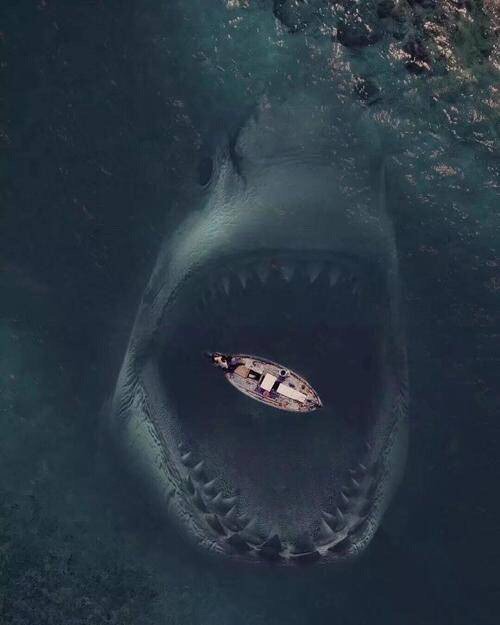 深海恐惧症,巨物恐惧症测试,你能成功过关吗?最后一张大恐怖!