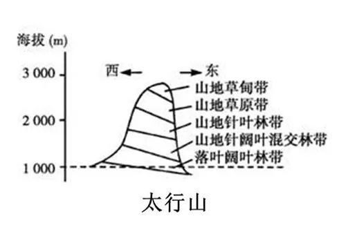 山地垂直自然带知识总结(附18座山脉的垂直自然带谱)