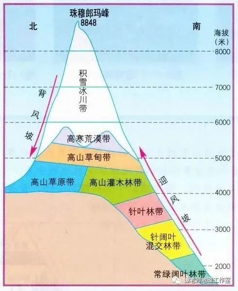 山地垂直自然带知识总结(附18座山脉的垂直自然带谱)