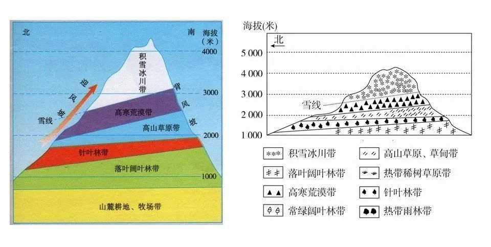 山地垂直自然带知识总结附18座山脉的垂直自然带谱