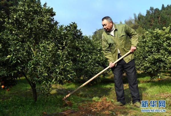 顺昌县有多少人口_福建武夷交通运输股份有限公司(3)