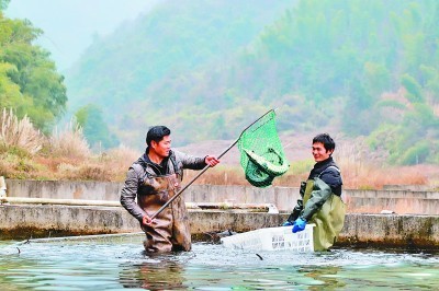 宜黄县圳口乡多少人口_宜黄县神岗乡吴乃平