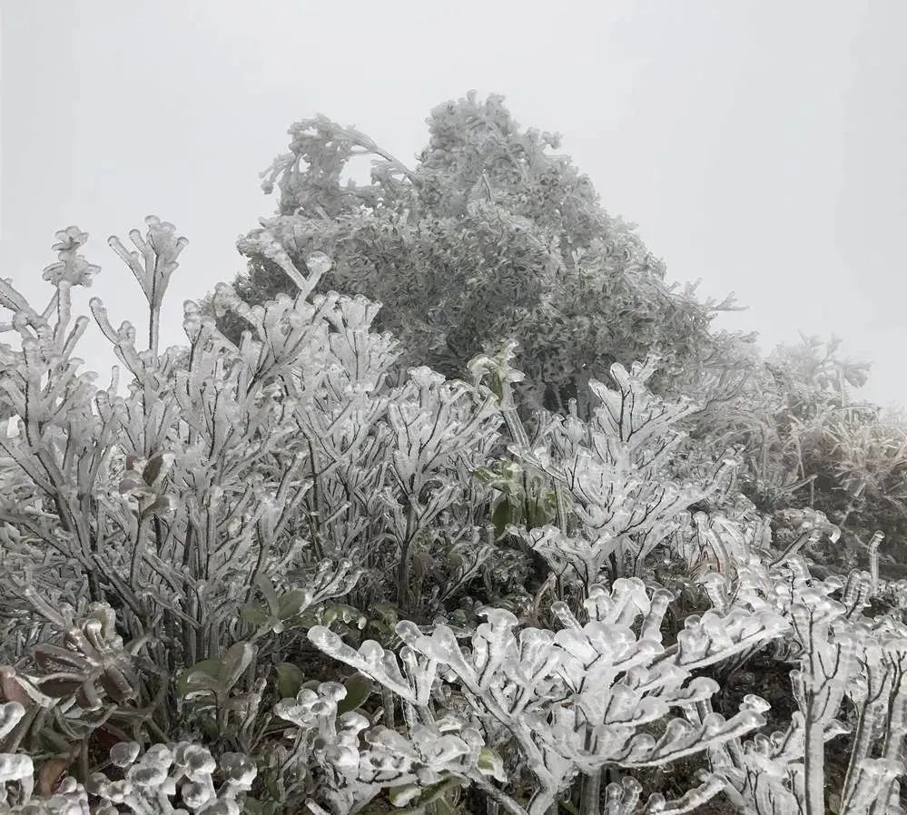 广东真的下雪了!还有一波冷空气在路上