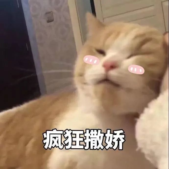 表情包:疯狂撒娇