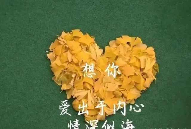 情出自愿,不谈亏欠不负遇见,心里有了良人,眼里便全是