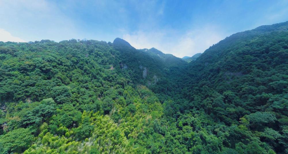 福建一座不要门票的山,融火山岩地貌和常绿阔叶林景观