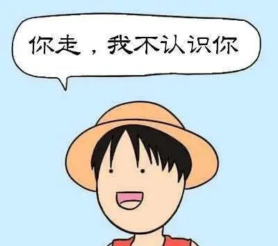 让人又爱又恨的npc们