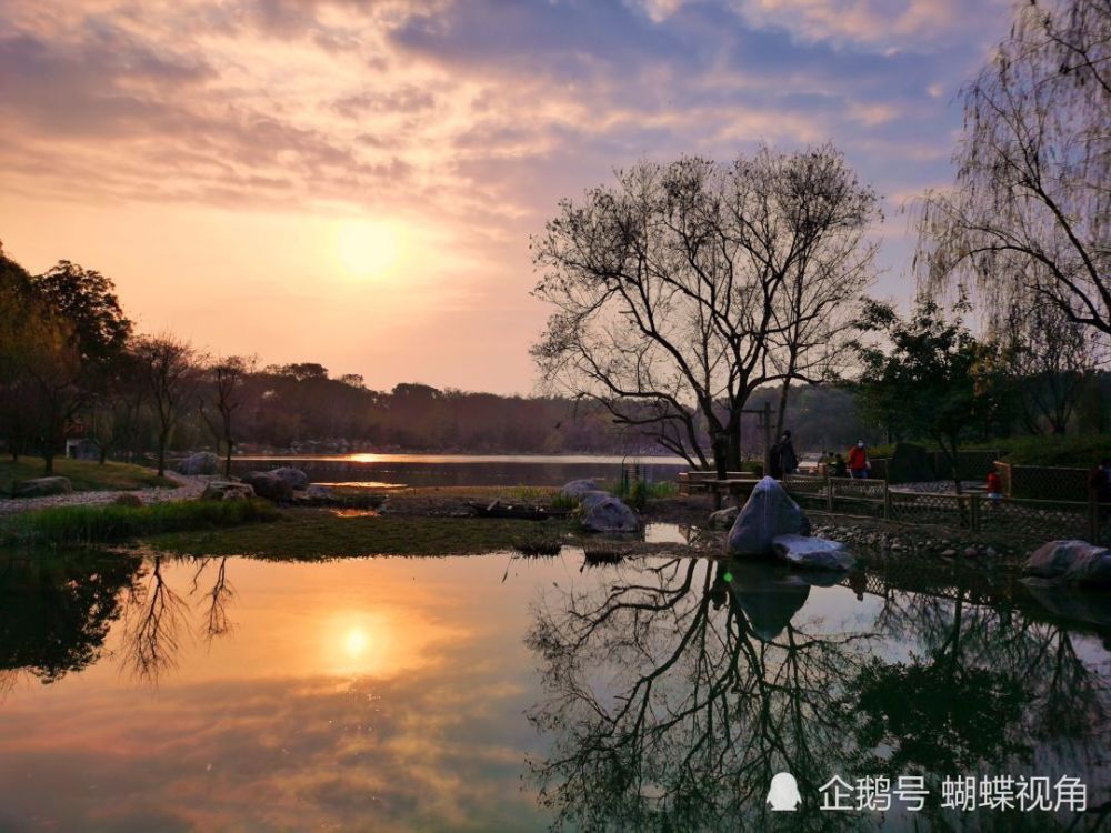 落日余晖下的成都浣花溪公园,随手一拍皆是让人赏心悦目的美景