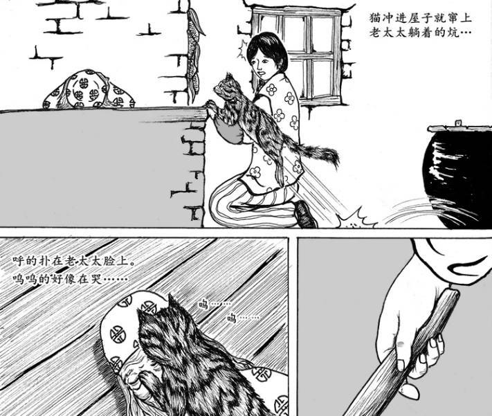 【黑白画风】猫脸老太太事件 这才是真相