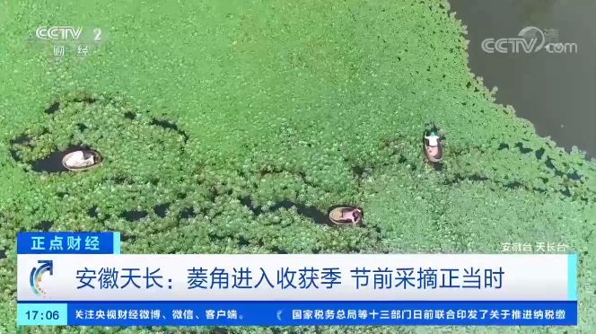 2020天长市经济总量_天长市地图(2)