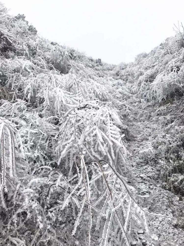 水箐人口_毕节水箐镇中学照片