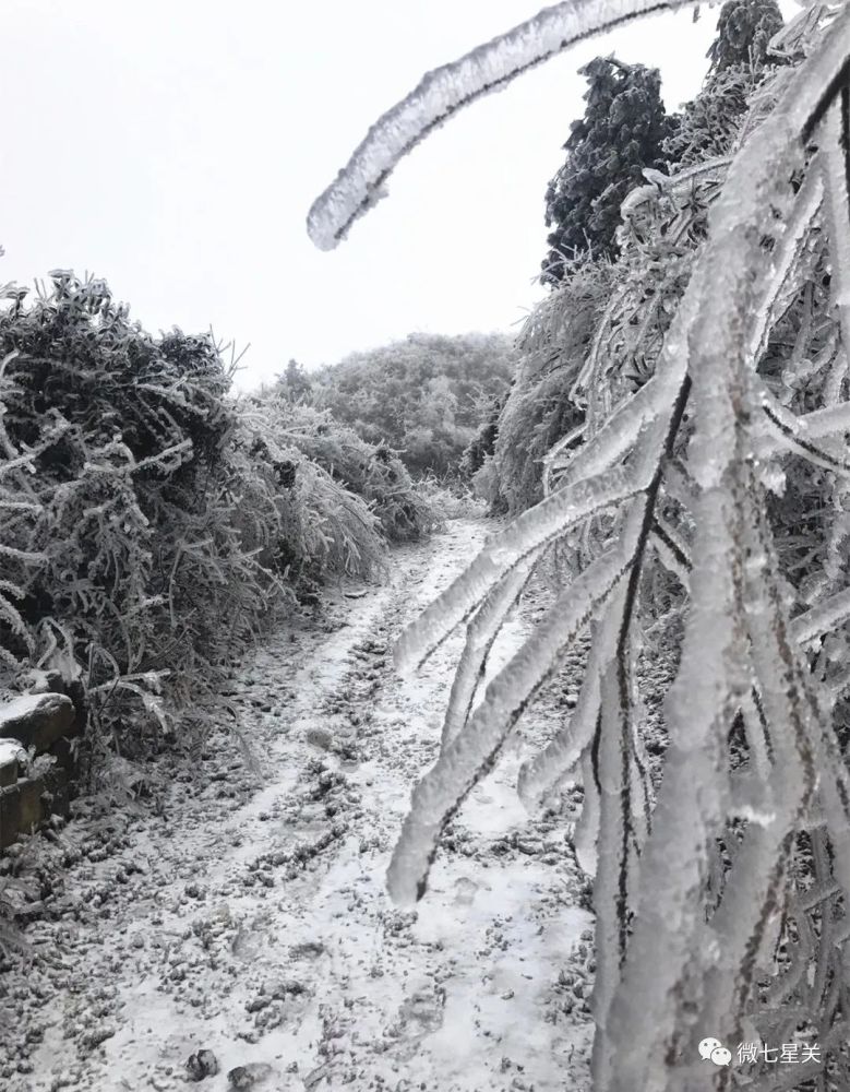 水箐人口_毕节水箐镇中学照片