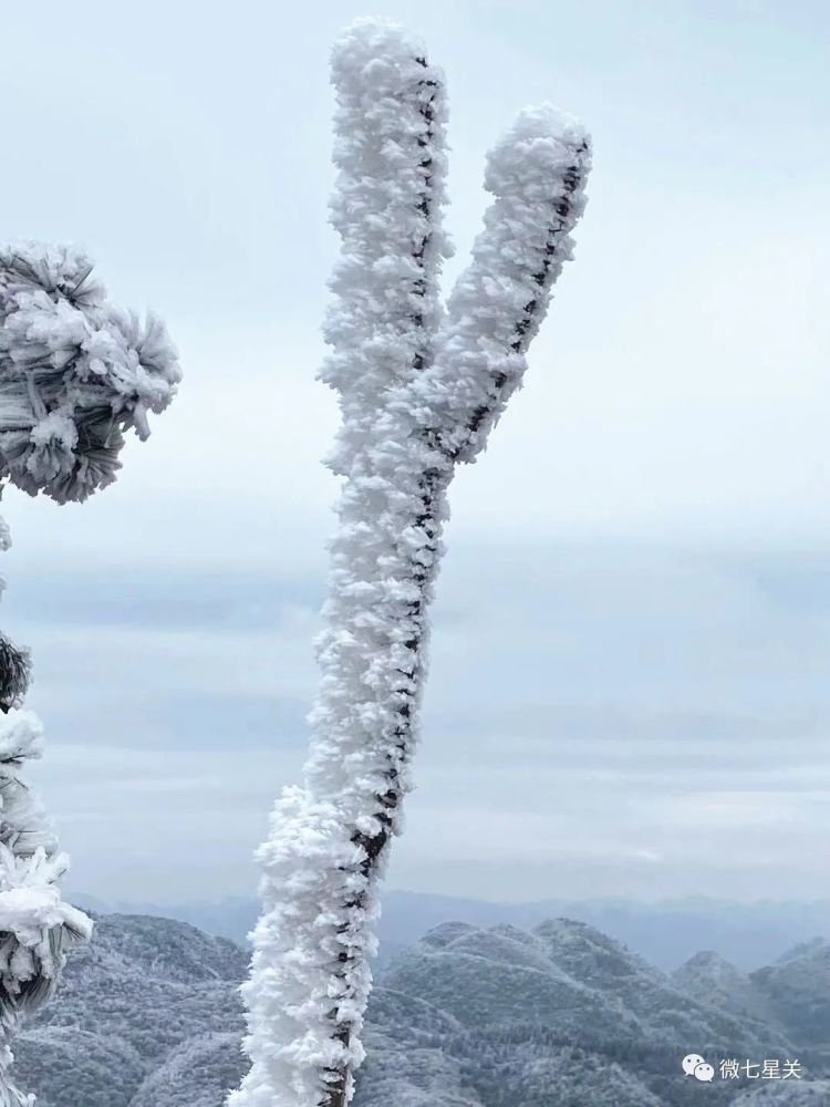 水箐人口_毕节水箐镇中学照片