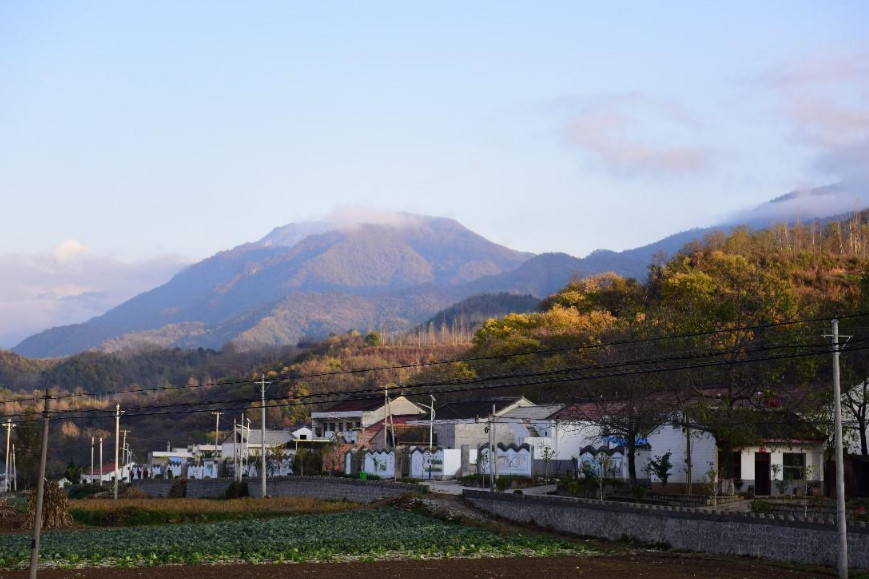 眉县 gdp_眉县猕猴桃图片(2)