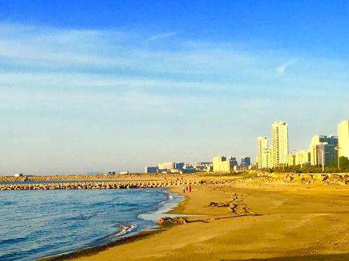 龙口人口gdp_龙口粉丝(3)