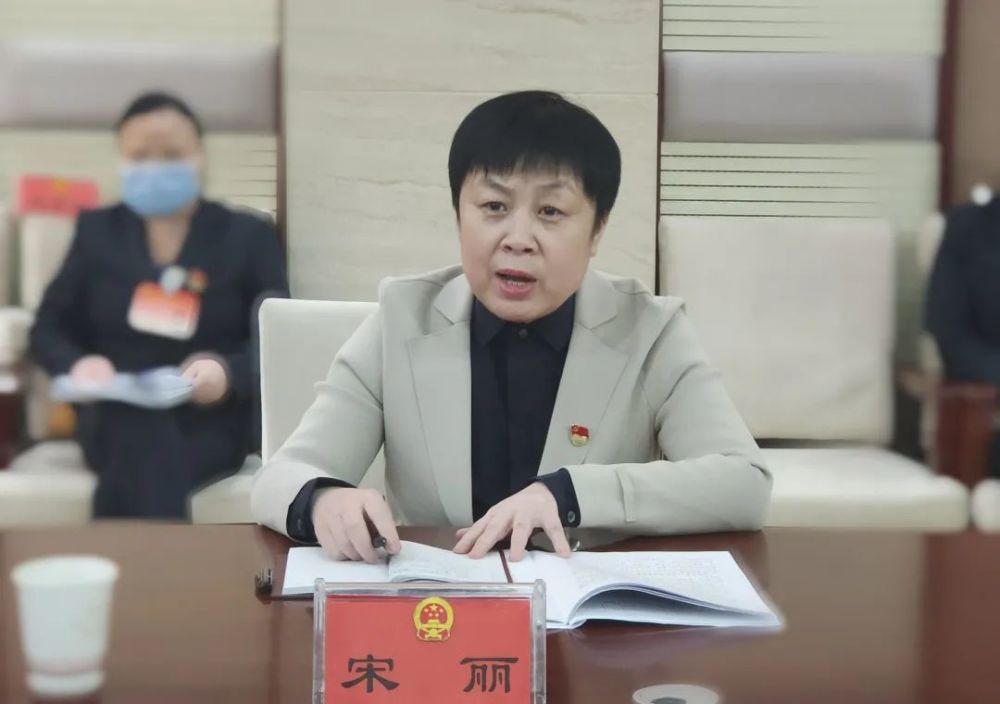 在审议会场,宋丽与各位代表畅所欲言,共同交流审议政府工作报告,市