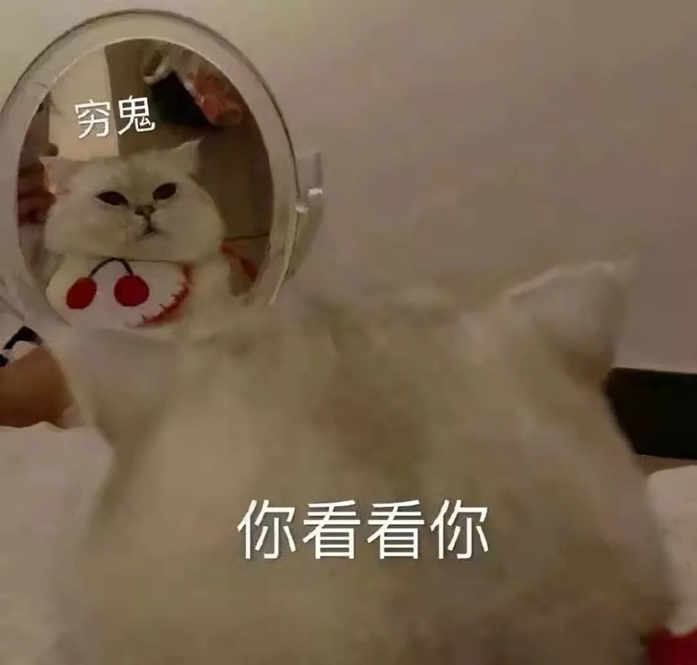 句子|沙雕可爱的朋友圈文案