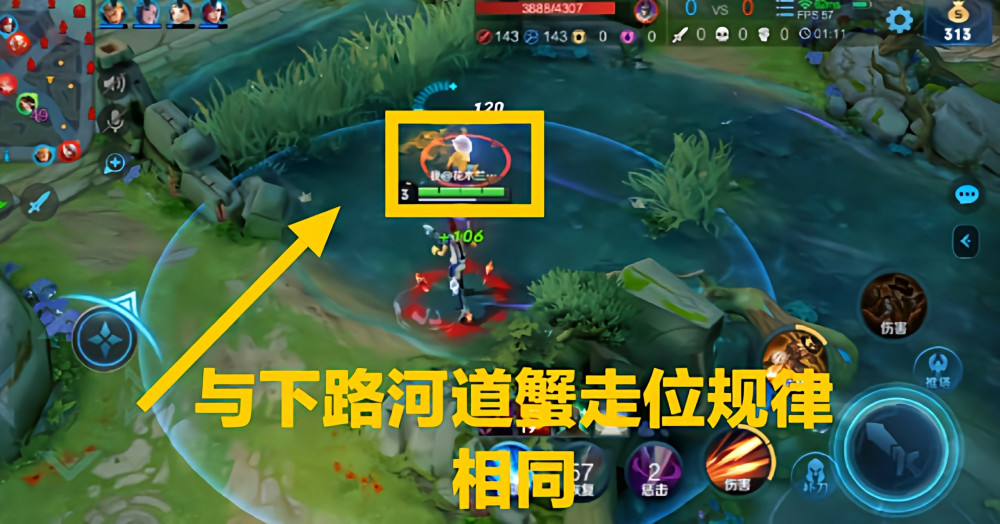 王者峡谷超级冷知识,河道蟹是如何走位的?