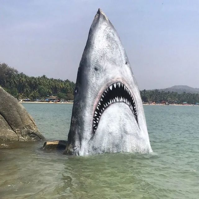 他将海边的石头,画成大白鲨,没吓到人,反而被游客"玩坏"了