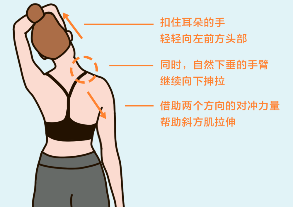 溜肩,斜方肌大=没气质?这个动作练出女团直角肩!|健康