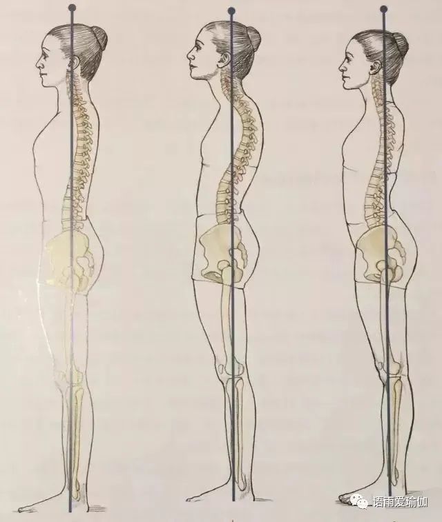 瑜伽的"中立位"来告诉你原因_腾讯新闻