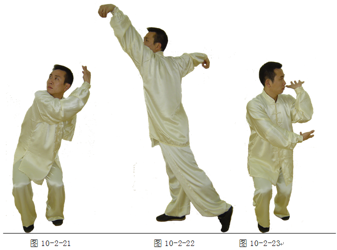 五禽戏视频 腾讯网