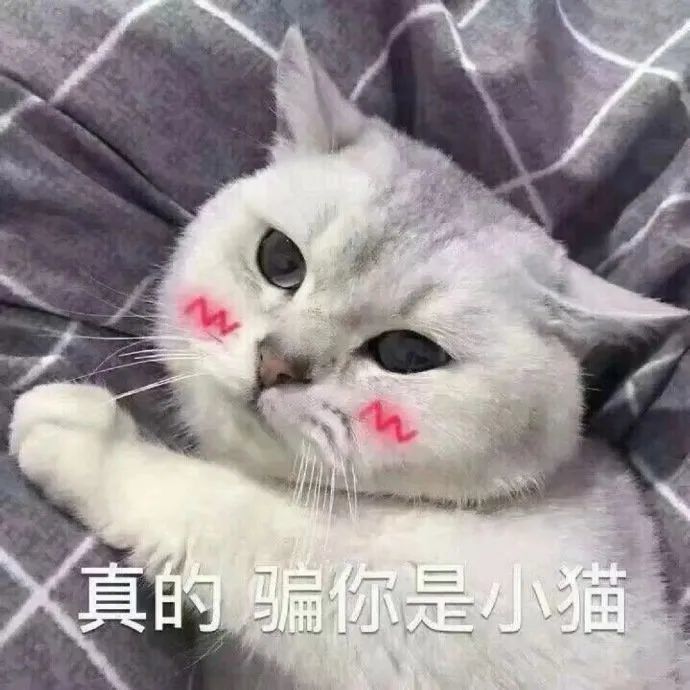 表情包:让我康康你在干什么