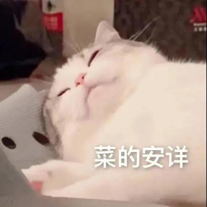 表情包|我都懂,ok