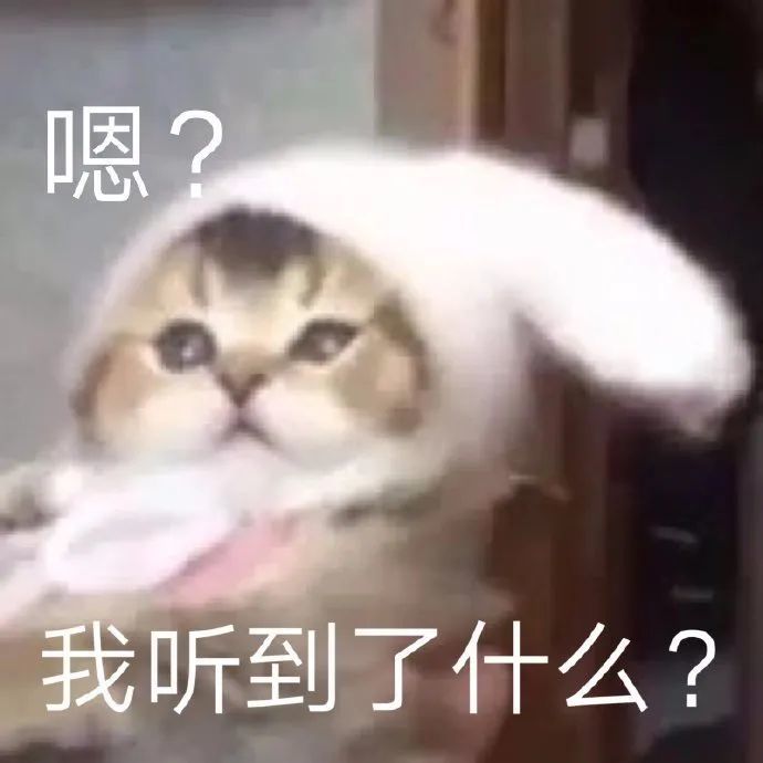 表情包几点了你们在干嘛